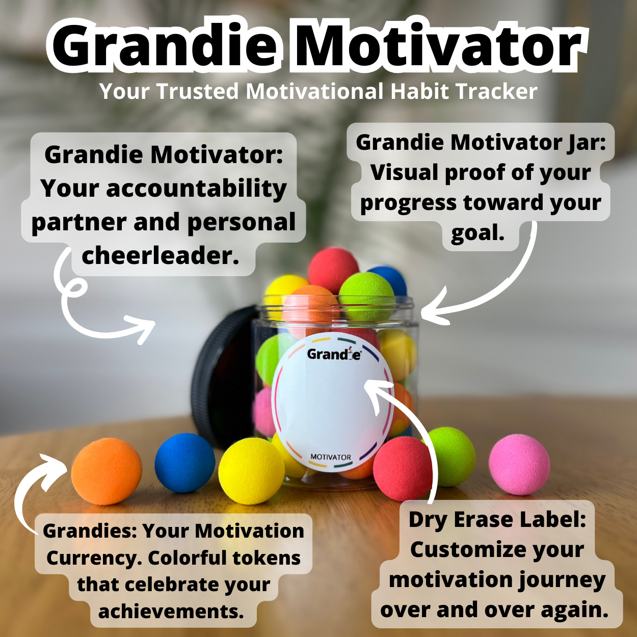 Grandie MOTIVATOR - Your Motivation Tool